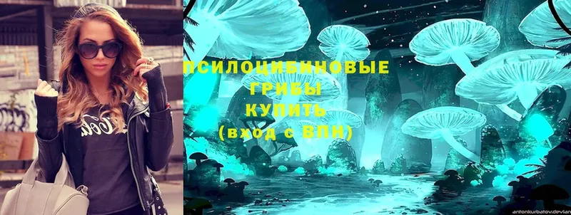 Псилоцибиновые грибы Magic Shrooms  Киреевск 